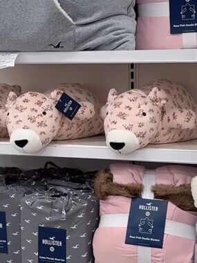 Hollister x target weighted pink floral bear plush pillow